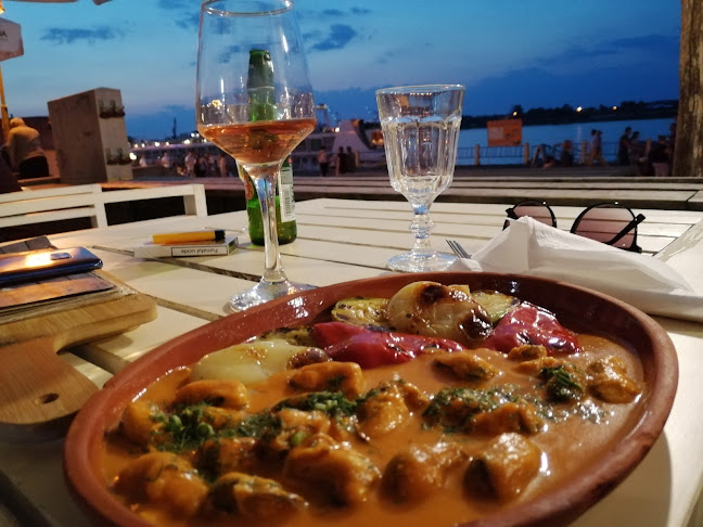 Ivan Pescar - Tulcea