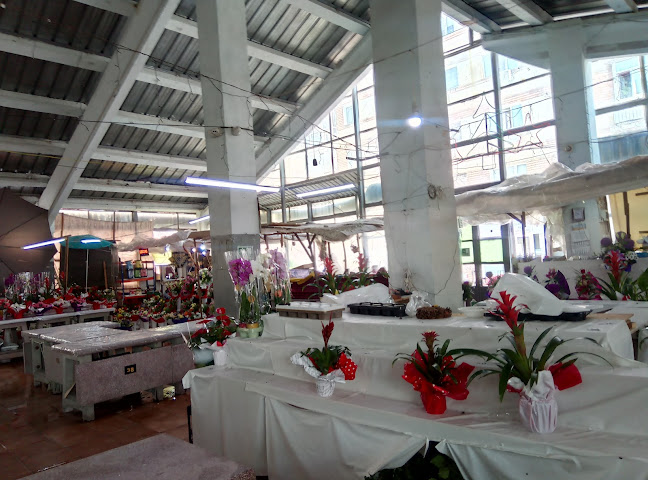 Opinii despre Piața Giroc în Timișoara - Gastronomie și ospitalitate