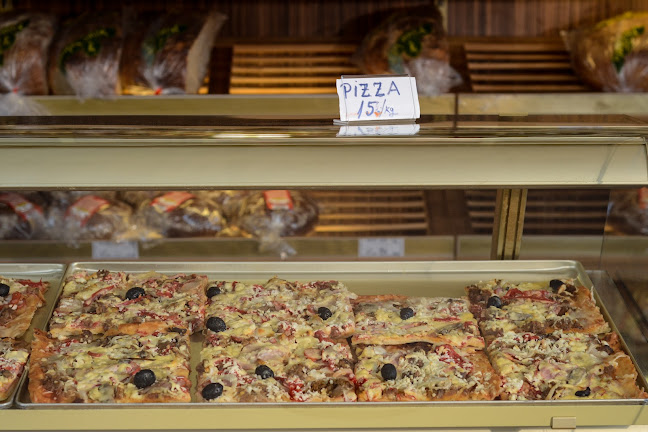 Comentarii opinii despre SAL-PAN S.R.L.