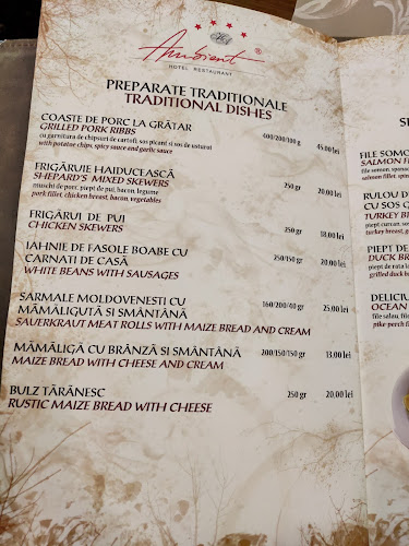 Opinii despre Restaurant Ambient în Brașov - Gastronomie și ospitalitate
