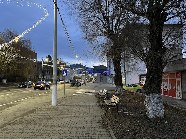 Piața Dacia - Gastronomie și ospitalitate