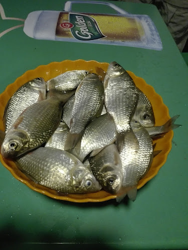 Comentarii opinii despre Restaurant-Pensiune La Nicu Dorilă