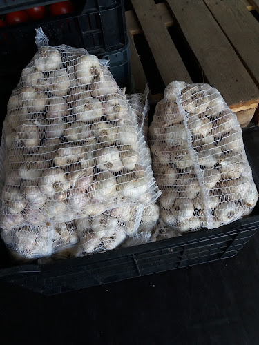 Piața angro de legume și fructe - Gastronomie și ospitalitate