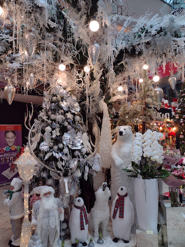 Florens - București