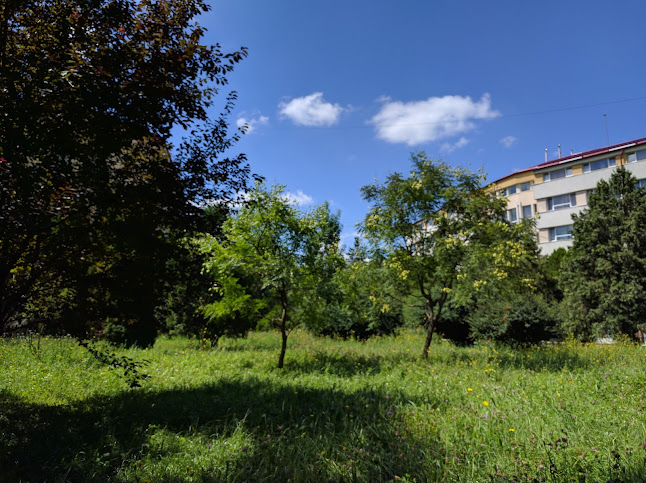 Comentarii opinii despre Cantina Studențească Observator