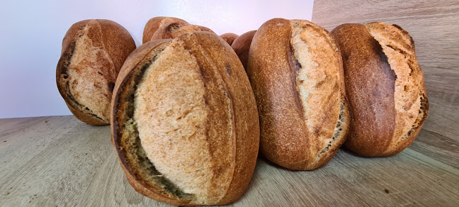 Comentarii opinii despre DOAR GRANE