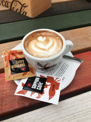 Str. Clinicilor 14, Cluj-Napoca 400006