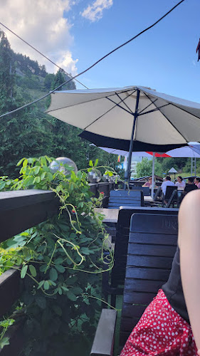 Vis-a-vis de iesirea din Pestera Muierilor, Baia de Fier 217030