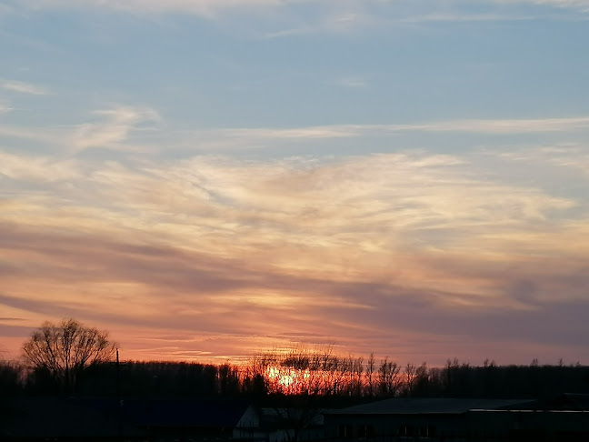 Piaţa Agroalimentară Măcin - Gastronomie și ospitalitate