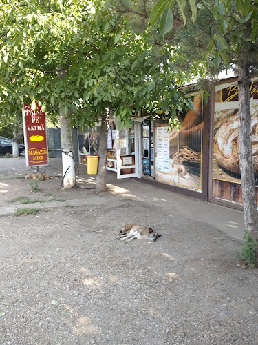 Brutaria din sat, paine pe vatra. - Izvoarele