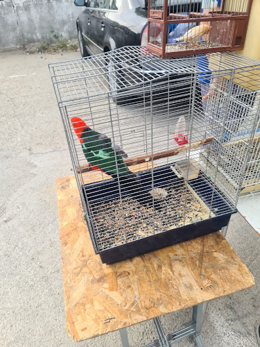 Târg Tradițional - Gastronomie și ospitalitate