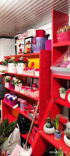 Piața Ion Ionescu de la Brad - Timișoara