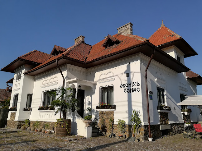 Opinii despre Vechiul Conac în Târgu Jiu - Gastronomie și ospitalitate