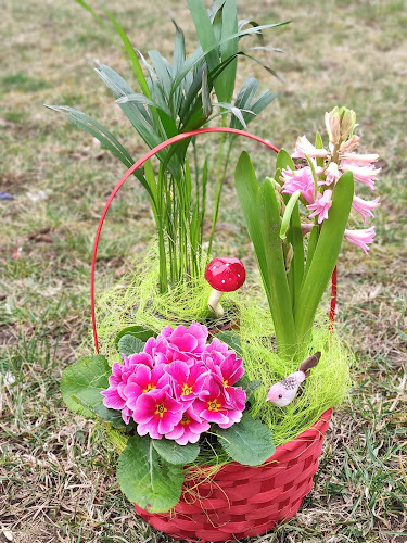 Strada Mihai Viteazul, Hunedoara