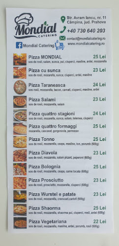 Strada Avram Iancu, Câmpina 105600