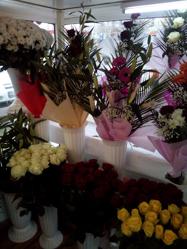 Floraria Armani - Gastronomie și ospitalitate