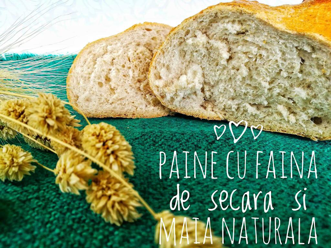 Strada Teilor nr. 8A, Fălticeni 725200