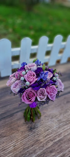 Strada Călărași 11, Parter, Fetești-Gară 927100