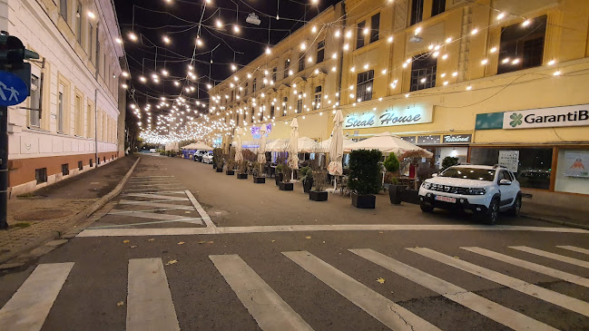 Strada 1 Decembrie 1918 2, Arad 310134