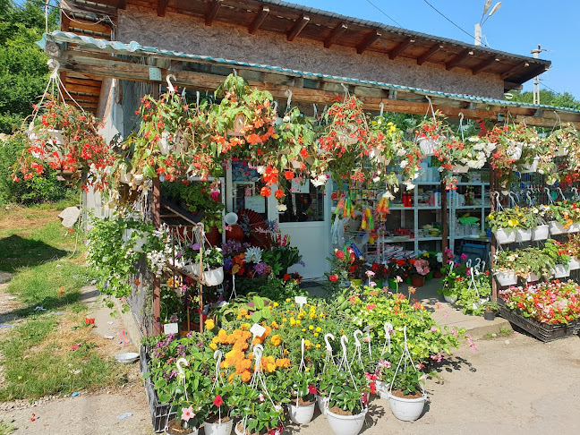 Florăria Vărbilău - Gastronomie și ospitalitate