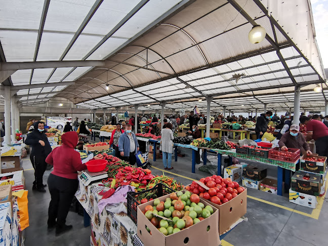 Opinii despre Piata agroalimentară Balș în Balș - Gastronomie și ospitalitate