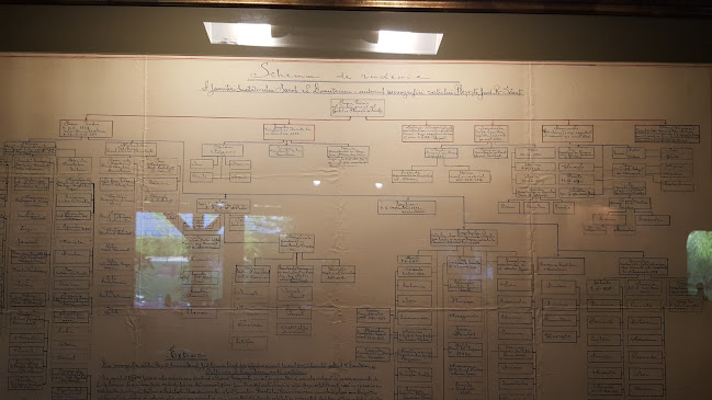 Str. Albăstrelelor 24, Snagov 077165