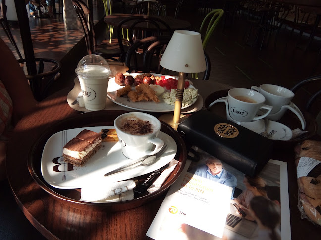 Bulevardul Regele Mihai I 8, Baia Mare 430122