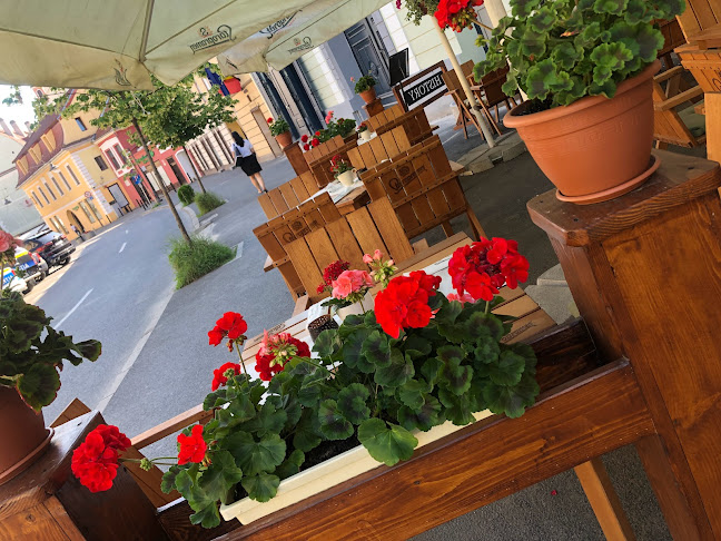 History Sibiu Delivery - Gastronomie și ospitalitate