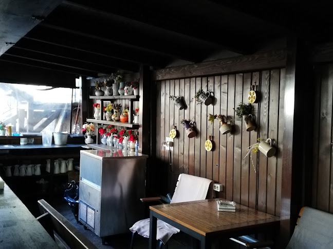 Comentarii opinii despre Restaurant Hanul cu Noroc Oradea