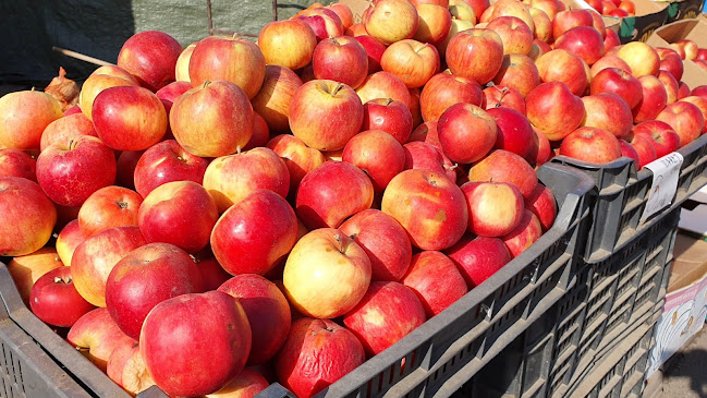 Piata agroalimentara Râmnicu Vâlcea - Gastronomie și ospitalitate