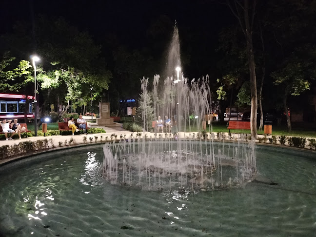 Comentarii opinii despre Restaurant Intim