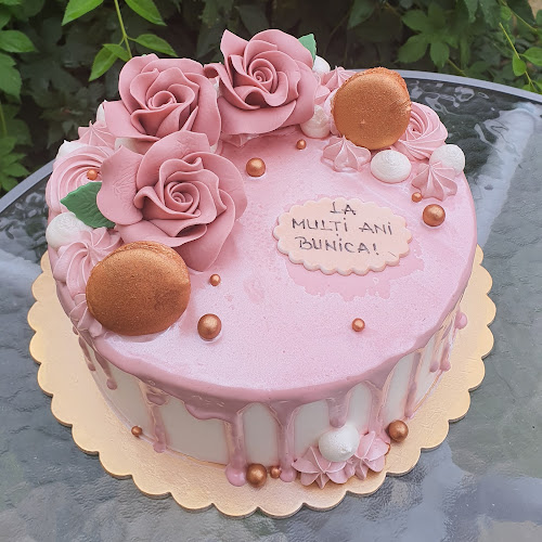 Comentarii opinii despre Elisa