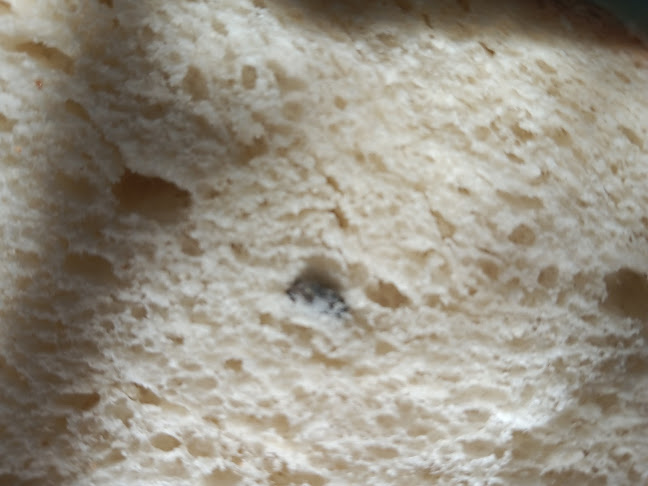 PRODUCŢIE BINGO S.R.L.