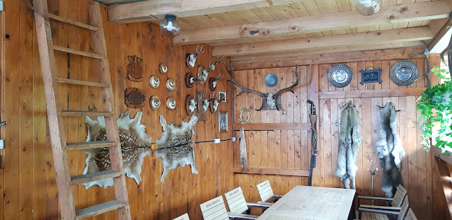 Comentarii opinii despre Complex Pastravul