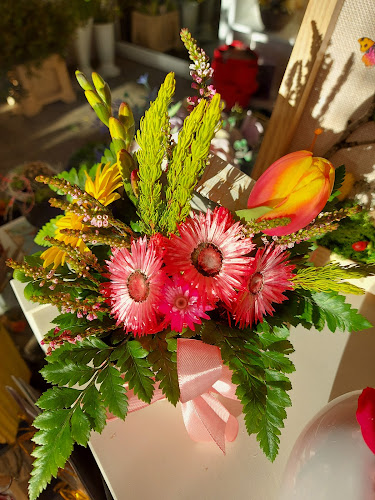 Opinii despre KATYA FLORARIE SI CADOURI FOCSANI, PIATA UNIRIII în Focșani - Gastronomie și ospitalitate