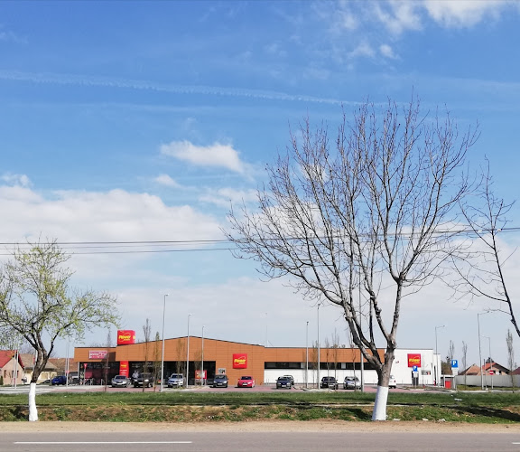 Comentarii opinii despre La Cuptorul Vrăjit