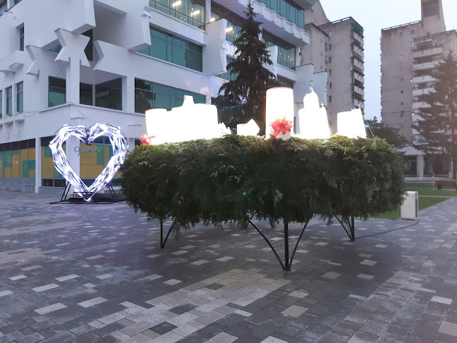 Opinii despre Restaurantul Favorit în Satu Mare - Gastronomie și ospitalitate