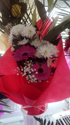 Opinii despre Floraria Armani în Brăila - Gastronomie și ospitalitate