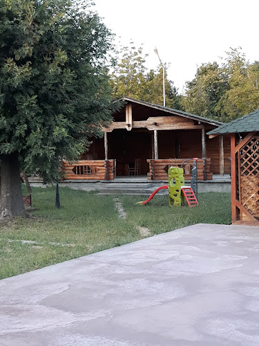 Opinii despre Restaurant Valea Oltului în Slatina - Gastronomie și ospitalitate