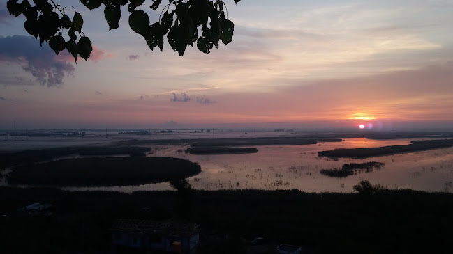 Opinii despre COMIS IND S.R.L. în Tulcea - Gastronomie și ospitalitate