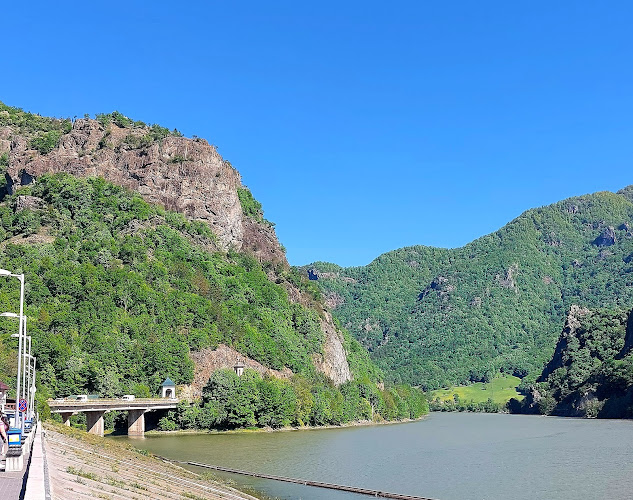 Comentarii opinii despre Restaurant Valea Oltului