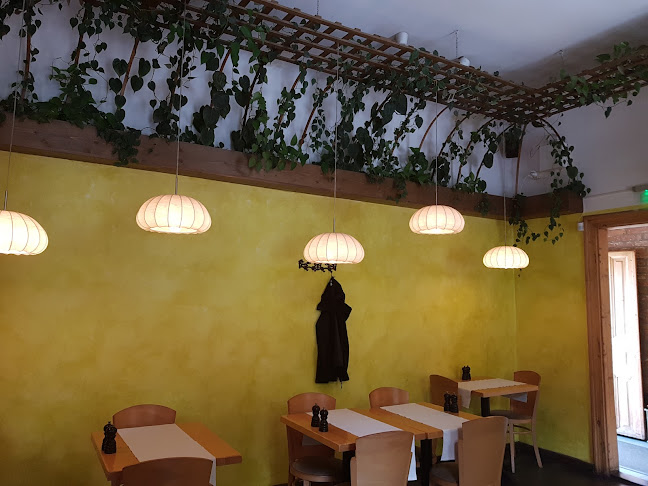 Cardinal Iuliu Hossu Street 3, Cluj-Napoca 400029