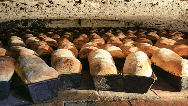 Nr 123, Berivoi 507181