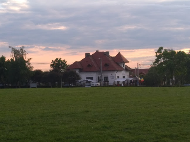 Vechiul Conac - Târgu Jiu