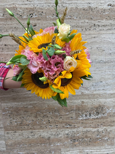 MaJolie - Gastronomie și ospitalitate