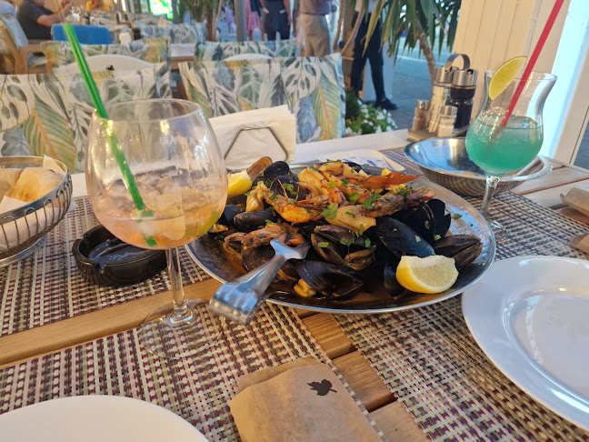 Terasa Andreea - Constanța