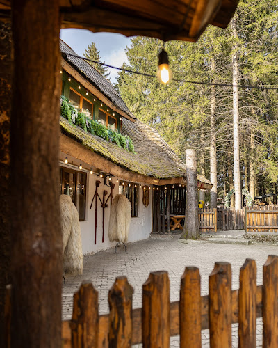 Comentarii opinii despre Șura Dacilor