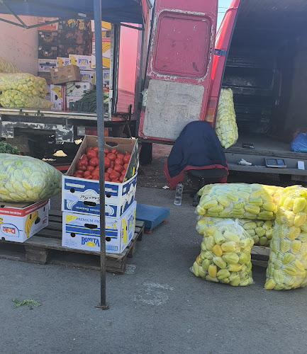 Comentarii opinii despre Târgul Pucheni