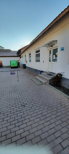 Comentarii opinii despre ALEXIA PAN SRL