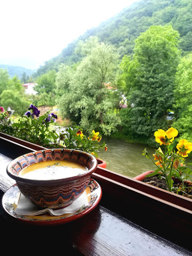 Comentarii opinii despre Pensiunea Cuibul Viselor- La Johnny